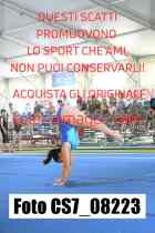 CS7_08223-