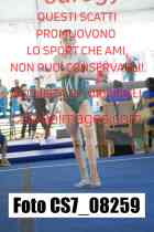 CS7_08259-