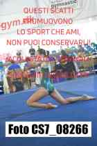 CS7_08266-
