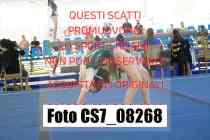 CS7_08268-