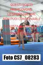 CS7_08283-