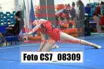 CS7_08309-