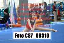 CS7_08310-