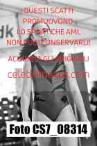 CS7_08314-