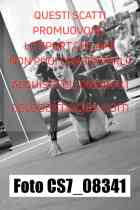 CS7_08341-