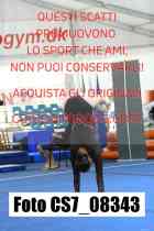 CS7_08343-