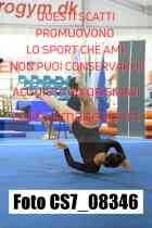 CS7_08346-