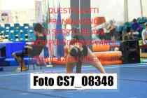 CS7_08348-