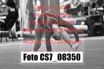 CS7_08350-