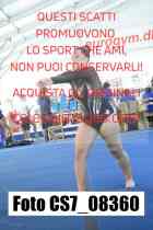 CS7_08360-