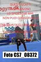 CS7_08372-