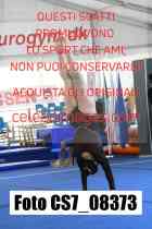 CS7_08373-
