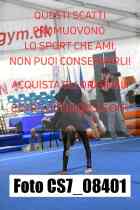 CS7_08401-