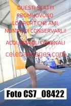 CS7_08422-