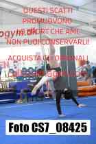 CS7_08425-