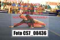 CS7_08436-