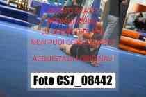 CS7_08442-