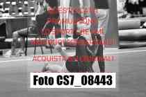CS7_08443-