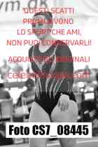 CS7_08445-