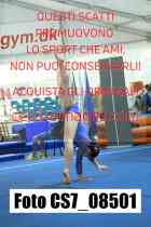 CS7_08501-