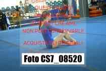 CS7_08520-