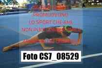 CS7_08529-