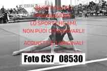 CS7_08530-