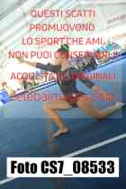 CS7_08533-