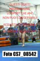 CS7_08542-