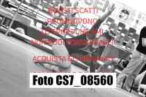 CS7_08560-