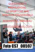 CS7_08597-