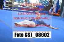 CS7_08602-
