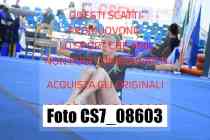 CS7_08603-