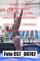 CS7_08742-