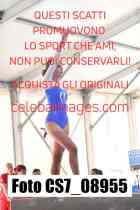 CS7_08955-