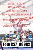 CS7_08982-