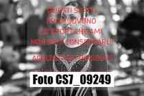 CS7_09249-