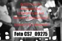CS7_09275-