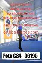 CS4_06195-