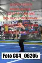 CS4_06205-