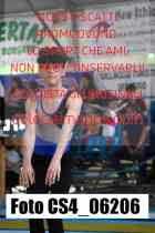 CS4_06206-