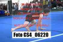 CS4_06220-