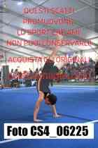 CS4_06225-
