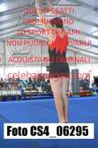 CS4_06295-