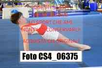 CS4_06375-