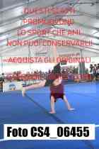 CS4_06455-