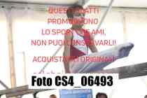 CS4_06493-