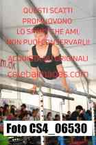 CS4_06530-