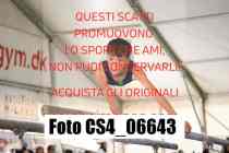 CS4_06643-