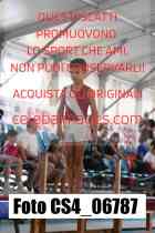 CS4_06787-